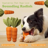 HKM-9288509 Durable Rubber Carrot Dog Toy for Interactive Chewing, Training, and Oral Health