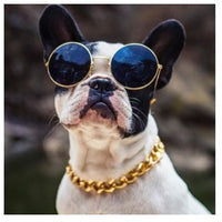 HKM-9291837 Gold-Plated Adjustable Pet Dog Necklace with Extended Chain Options