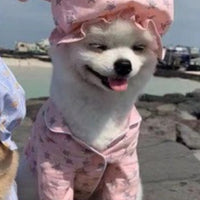 HKM-9300157 Korean Spring Blue Star-Patterned Cotton Pajama Suit for Pets