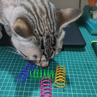 HKM-9308605 Colorful Coil Spring Cat Toy Set – Durable Plastic Springs for Active Kittens & Pets (4 or 8pcs)