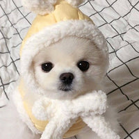 HKM-9311549 Cozy Cotton-Padded Casual Pet Clothes in Yellow, Black, and Pink