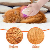HKM-9314365 4-in-1 Steamy Cat Brush with Vibration Massage, Water Spray, and Ringworm Detector for Grooming and Shedding Control
