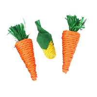 HKM-9315517 Loofah Carrot Hamster Toy for Healthy Chewing and Playtime
