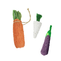 HKM-9315517 Loofah Carrot Hamster Toy for Healthy Chewing and Playtime
