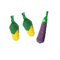 HKM-9315517 Loofah Carrot Hamster Toy for Healthy Chewing and Playtime