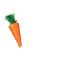 HKM-9315517 Loofah Carrot Hamster Toy for Healthy Chewing and Playtime