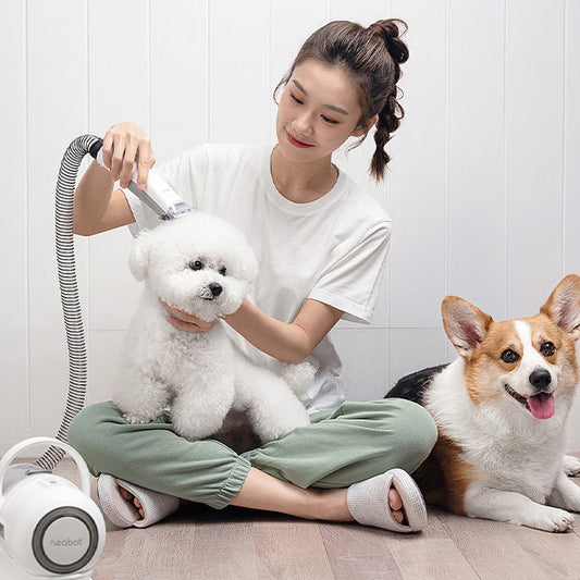HKM-932051 Pet Grooming Tool for Dogs with 9000Pa Suction, 300W Power, and 1000ml Dust Box