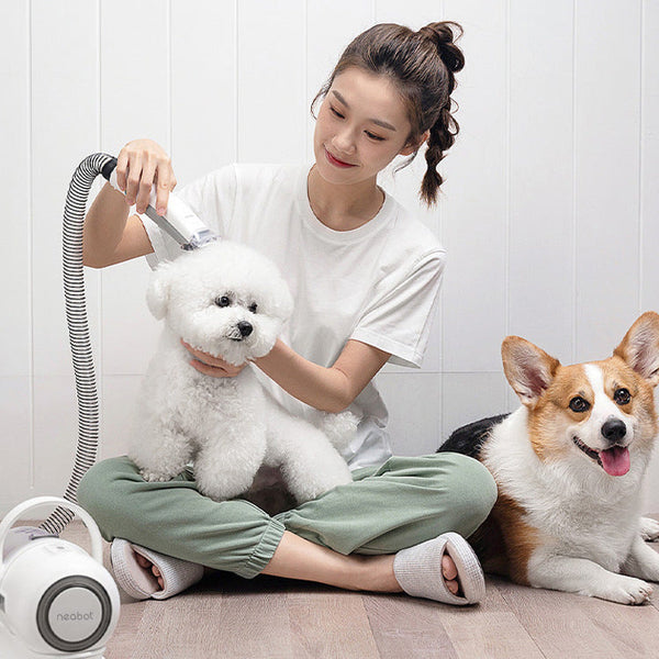 HKM-932051 Pet Grooming Tool for Dogs with 9000Pa Suction, 300W Power, and 1000ml Dust Box