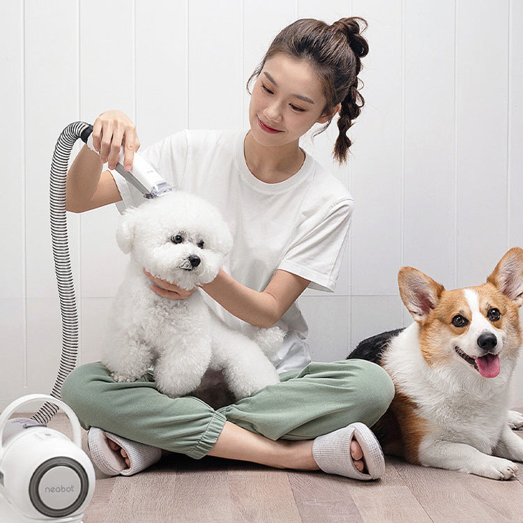 HKM-932051 Pet Grooming Tool for Dogs with 9000Pa Suction, 300W Power, and 1000ml Dust Box