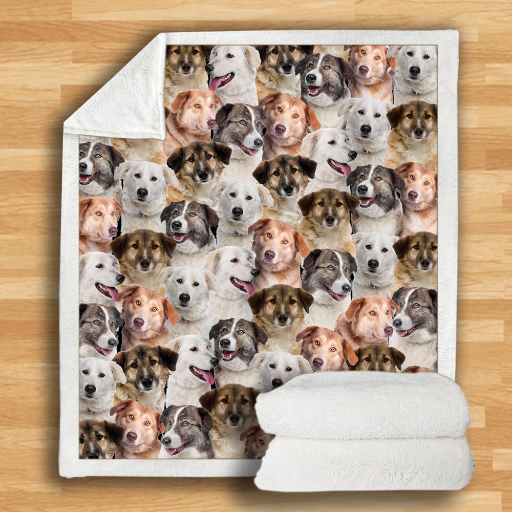 HKM-932115 Modern Printed Flannel Blanket for Dogs - Available in Two Sizes (120x150, 150x200)