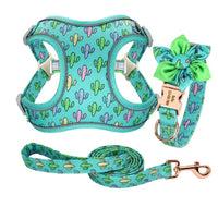 HKM-9321917 Small Dog Vest with Collar, Strap, and Chain - Adjustable Polyester in Cactus Print