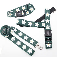 HKM-9327677 Nylon Leash for Golden Retrievers and Labradors - Adjustable Vest-style Design, 1.5m Length, Multiple Sizes Available