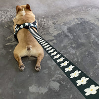HKM-9327677 Nylon Leash for Golden Retrievers and Labradors - Adjustable Vest-style Design, 1.5m Length, Multiple Sizes Available