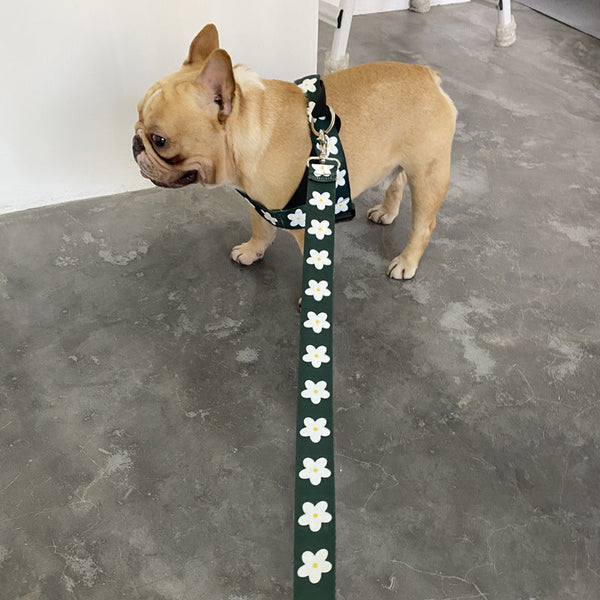HKM-9327677 Nylon Leash for Golden Retrievers and Labradors - Adjustable Vest-style Design, 1.5m Length, Multiple Sizes Available