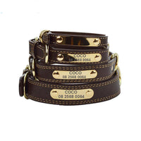 HKM-932819 Genuine Leather Dog Collars with Adjustable Engraved Nameplate for All Breeds