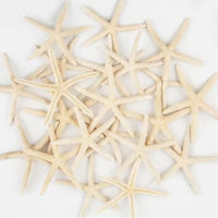 HKM-933075 Natural Real Starfish Set - 20 Pieces, 2-4 Inch and 4-6 Inch for DIY Crafts, Weddings, Beach Decor, Christmas Ornaments