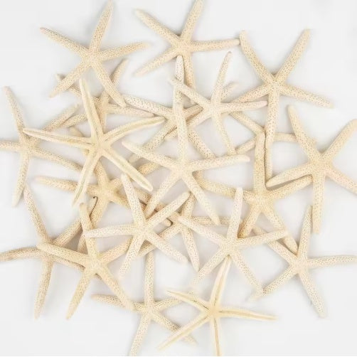HKM-933075 Natural Real Starfish Set - 20 Pieces, 2-4 Inch and 4-6 Inch for DIY Crafts, Weddings, Beach Decor, Christmas Ornaments