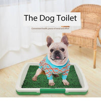 HKM-9331645 Indoor Three-Layer Dog Grass Potty Trainer for Puppies and Small Pets