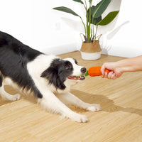 HKM-9341373 Durable Interactive Squeaky Dog Toy for Medium Dogs - Milk Flavor Rubber Carrot with Crinkle Leaves, Ideal for Training and Dental Care