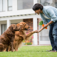 HKM-9341373 Durable Interactive Squeaky Dog Toy for Medium Dogs - Milk Flavor Rubber Carrot with Crinkle Leaves, Ideal for Training and Dental Care