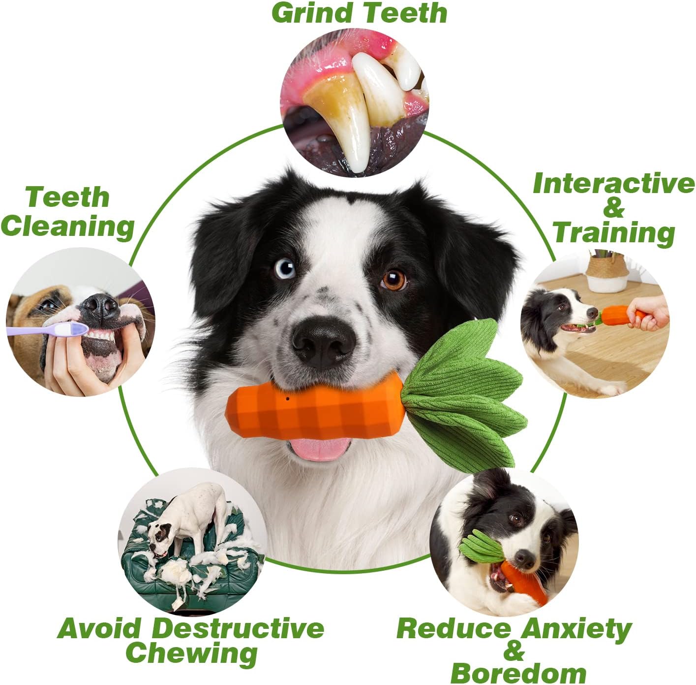HKM-9341373 Durable Interactive Squeaky Dog Toy for Medium Dogs - Milk Flavor Rubber Carrot with Crinkle Leaves, Ideal for Training and Dental Care