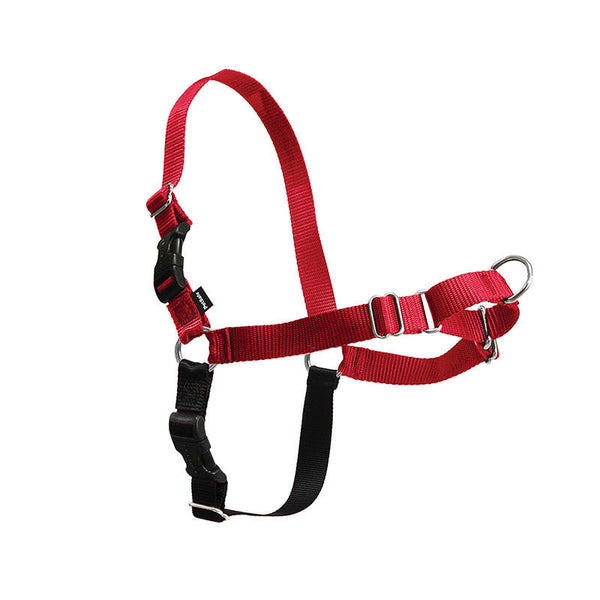 HKM-9347645 Durable Nylon Dog Walking Collar in Multiple Sizes and Colors