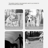 HKM-9349437 Automatic Retractable Dog Leash with Luminous Features - 3m, Available in Pearl White, Mint Green, and Monica