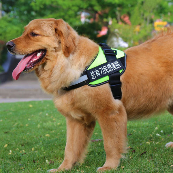 HKM-9351485 Comfortable Pet Leash and Chest Strap Set for Small to Large Pets