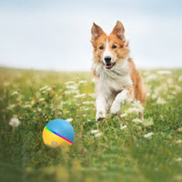 HKM-9354045 Remote Control Interactive Anti-stuffy Intelligent Toy Ball for Pets - Bite-Resistant Silicone Fun