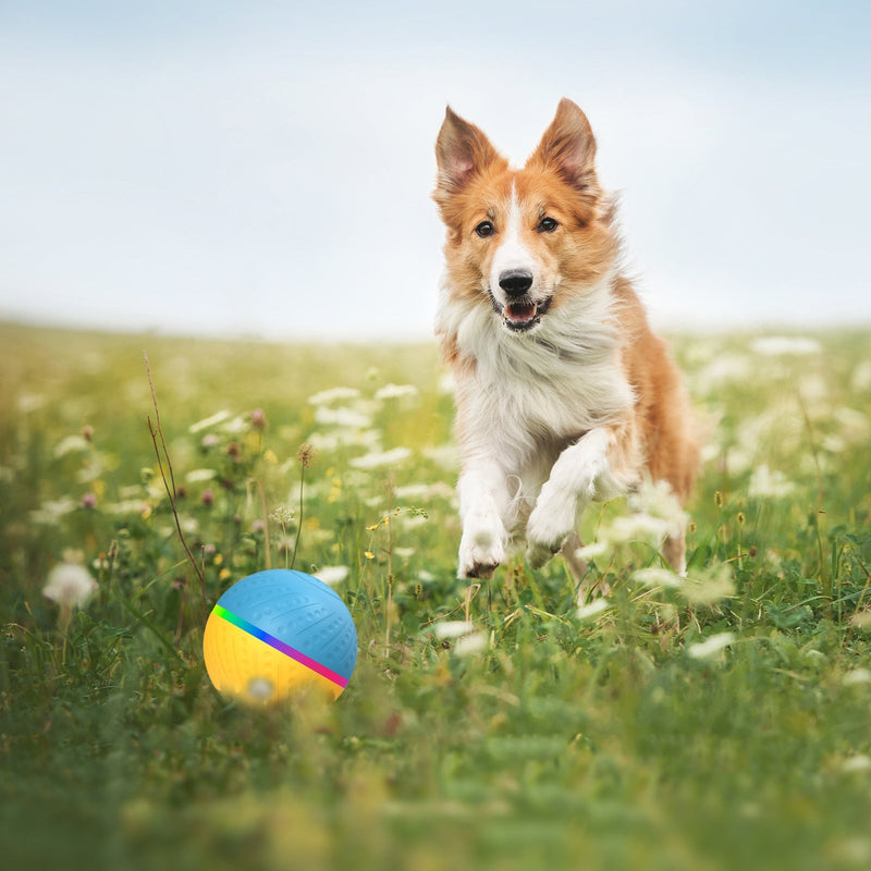 HKM-9354045 Remote Control Interactive Anti-stuffy Intelligent Toy Ball for Pets - Bite-Resistant Silicone Fun
