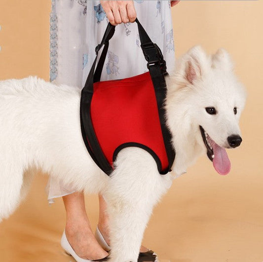 HKM-9354685 Pet Safety Auxiliary Belt in Red, Orange, Green - Adjustable, Waterproof, Wear-Resistant Design