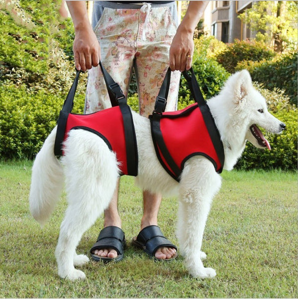 HKM-9354685 Pet Safety Auxiliary Belt in Red, Orange, Green - Adjustable, Waterproof, Wear-Resistant Design