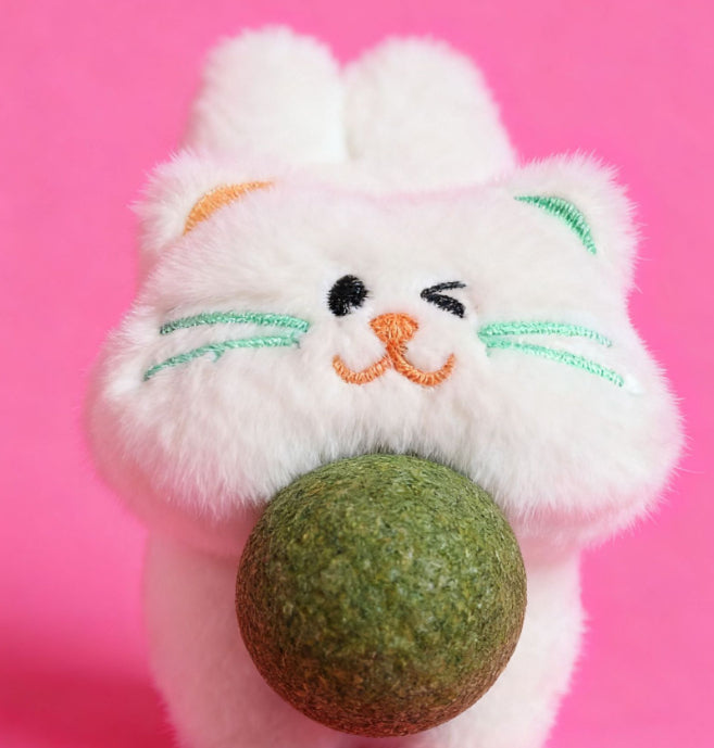 HKM-9355069 Catnip Plush Toy for Cats - Scratch-Resistant and Bite-Resistant Pet Accessory