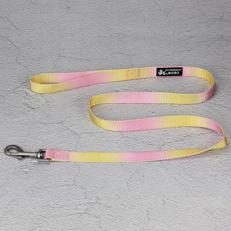 HKM-9360445 Gradient Color Dog Leash Set - Lightweight Nylon with Multiple Color Options