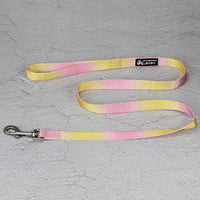 HKM-9360445 Gradient Color Dog Leash Set - Lightweight Nylon with Multiple Color Options