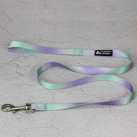 HKM-9360445 Gradient Color Dog Leash Set - Lightweight Nylon with Multiple Color Options