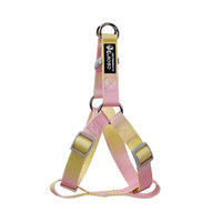 HKM-9360445 Gradient Color Dog Leash Set - Lightweight Nylon with Multiple Color Options