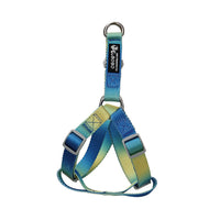 HKM-9360445 Gradient Color Dog Leash Set - Lightweight Nylon with Multiple Color Options