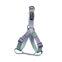 HKM-9360445 Gradient Color Dog Leash Set - Lightweight Nylon with Multiple Color Options