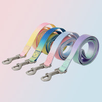 HKM-9360445 Gradient Color Dog Leash Set - Lightweight Nylon with Multiple Color Options