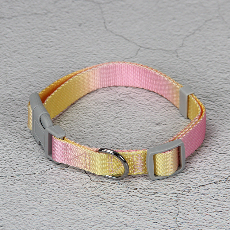 HKM-9360445 Gradient Color Dog Leash Set - Lightweight Nylon with Multiple Color Options