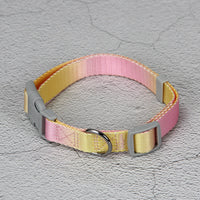 HKM-9360445 Gradient Color Dog Leash Set - Lightweight Nylon with Multiple Color Options