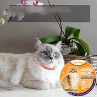 HKM-9368893 Calming Collar for Dogs and Cats ¨C Adjustable Purple, Orange, Sky Blue, Brown Options, All Seasons