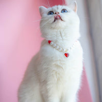 HKM-9369533 Cat Beads Love Necklace - Colorful ABS Beads for Pets, Adjustable Sizes Available