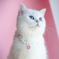 HKM-9369533 Cat Beads Love Necklace - Colorful ABS Beads for Pets, Adjustable Sizes Available