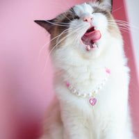 HKM-9369533 Cat Beads Love Necklace - Colorful ABS Beads for Pets, Adjustable Sizes Available