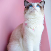 HKM-9369533 Cat Beads Love Necklace - Colorful ABS Beads for Pets, Adjustable Sizes Available