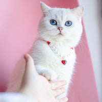 HKM-9369533 Cat Beads Love Necklace - Colorful ABS Beads for Pets, Adjustable Sizes Available