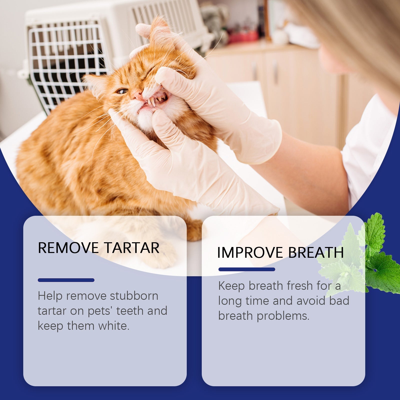 HKM-9374525 Pet Teeth Cleaning Powder for Effective Stain Removal - 40g Natural Ingredients