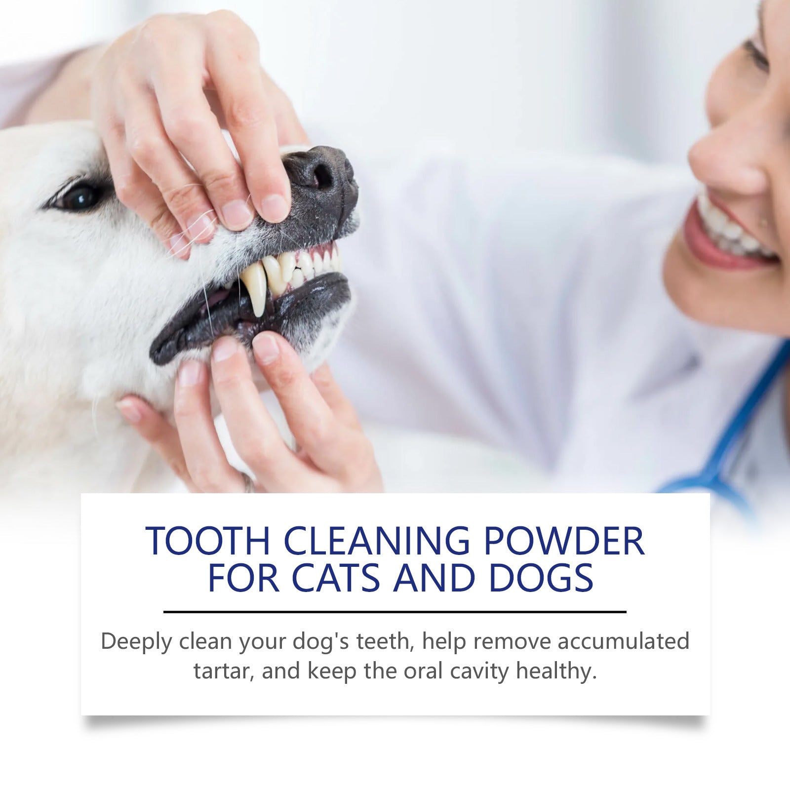 HKM-9374525 Pet Teeth Cleaning Powder for Effective Stain Removal - 40g Natural Ingredients